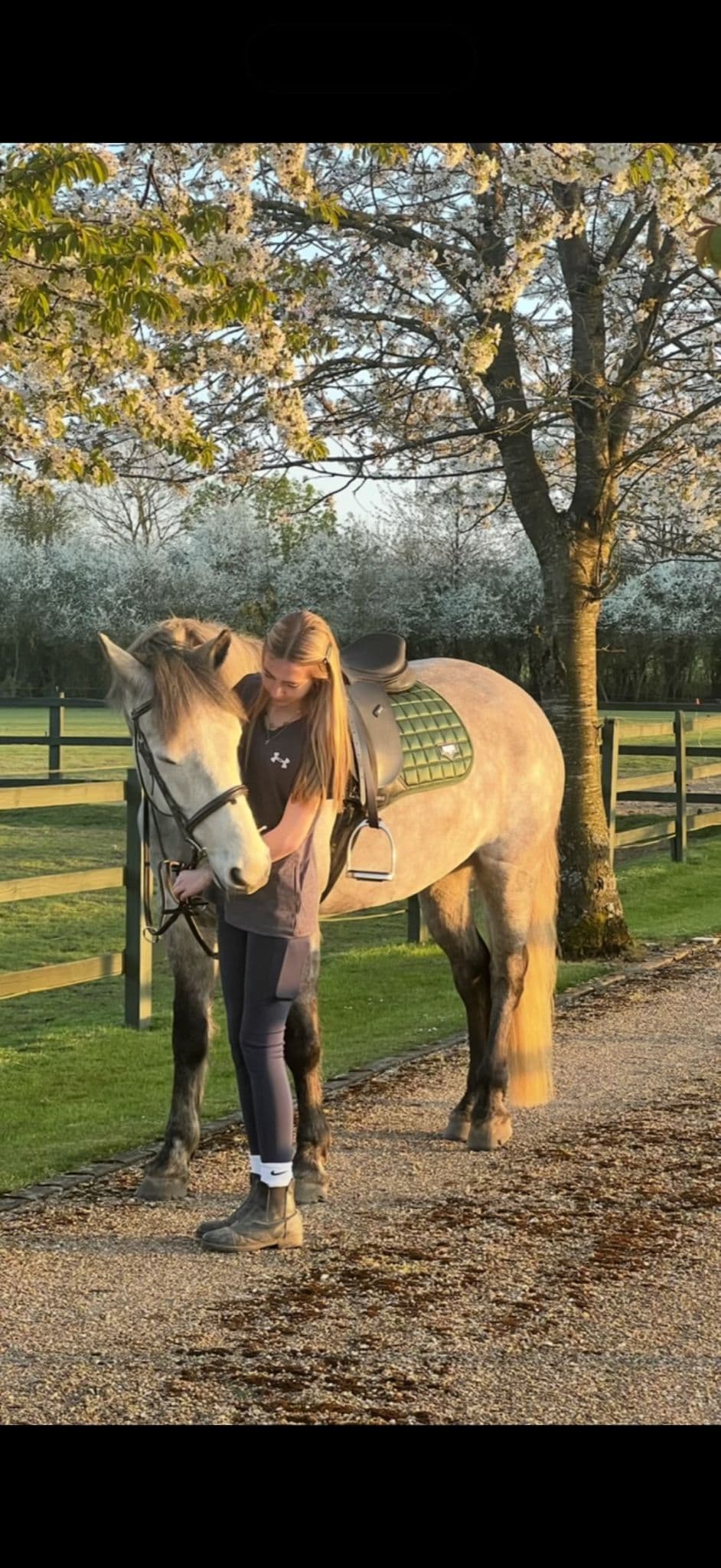 Belle standing with a horse outdoors